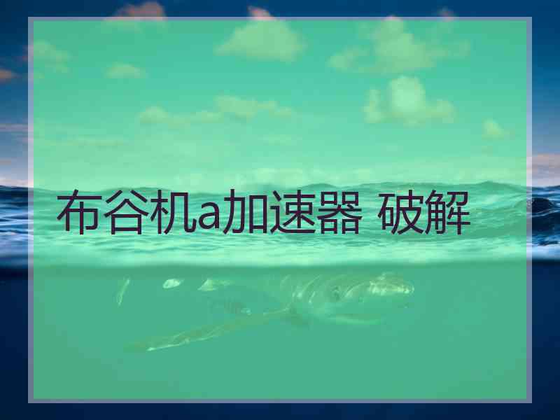 布谷机a加速器 破解
