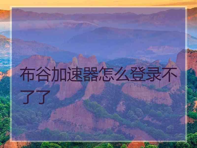 布谷加速器怎么登录不了了