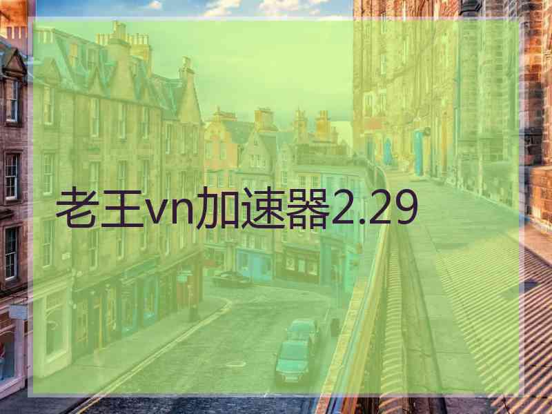 老王vn加速器2.29