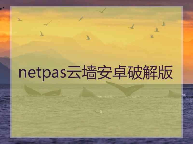 netpas云墙安卓破解版