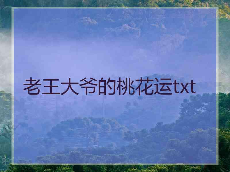 老王大爷的桃花运txt