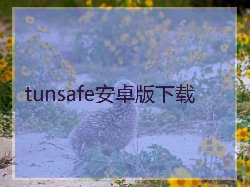 tunsafe安卓版下载