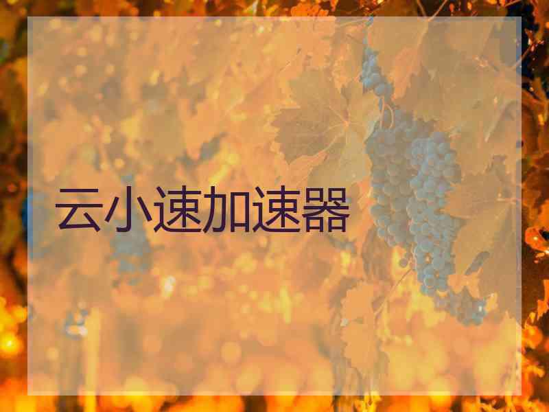 云小速加速器