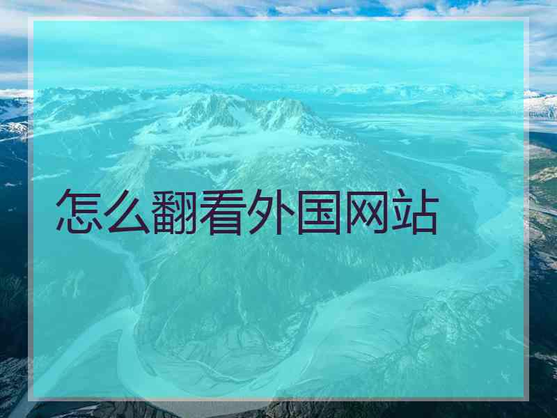 怎么翻看外国网站