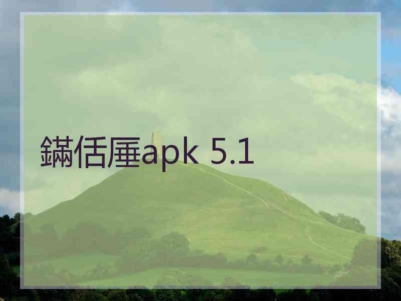 鏋佸厜apk 5.1