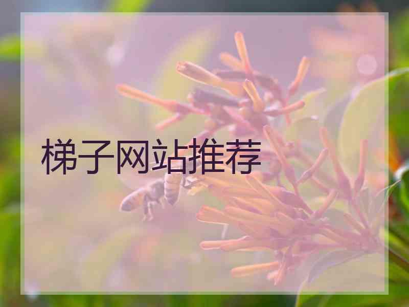 梯子网站推荐