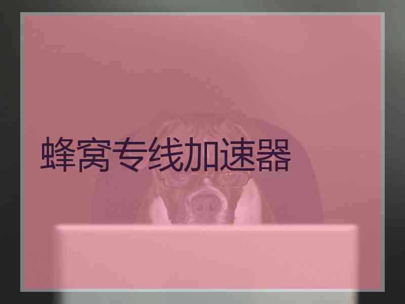 蜂窝专线加速器