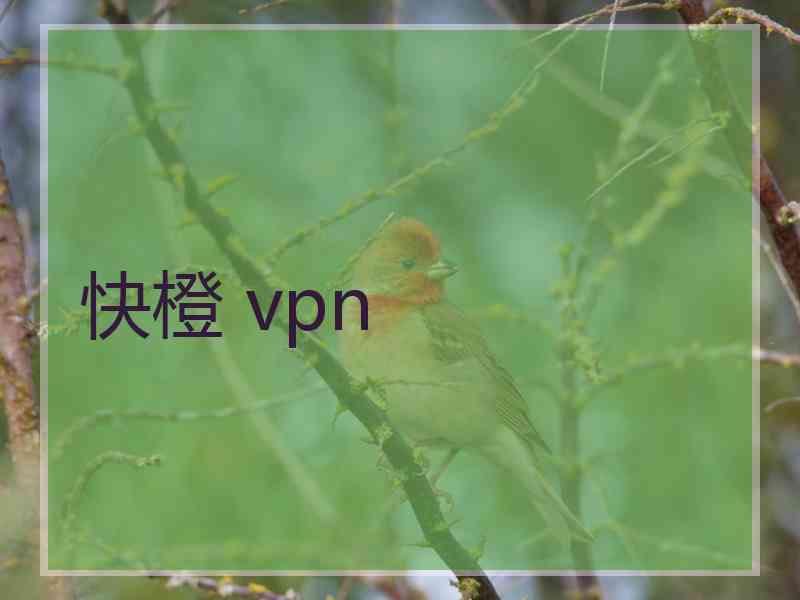 快橙 vpn
