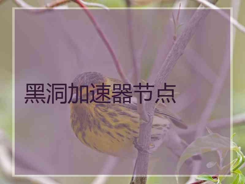 黑洞加速器节点