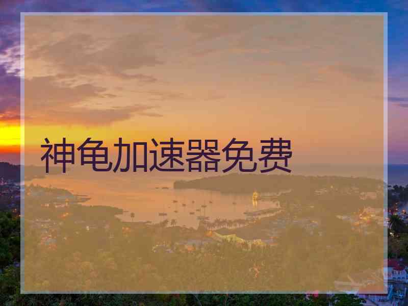 神龟加速器免费