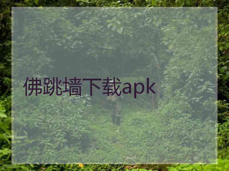 佛跳墙下载apk
