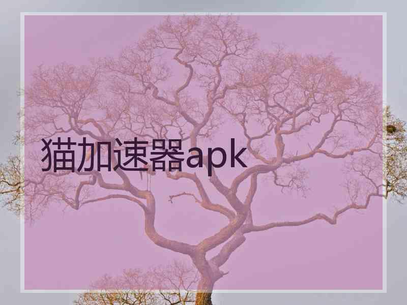 猫加速器apk