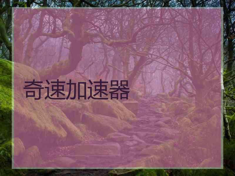 奇速加速器