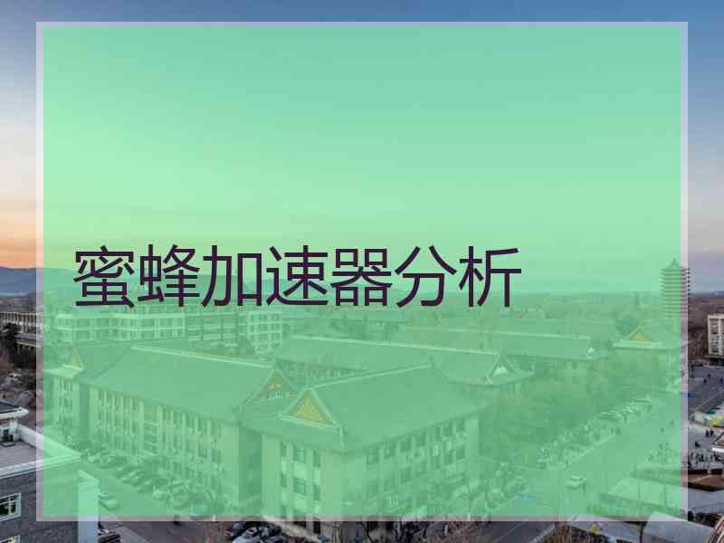 蜜蜂加速器分析