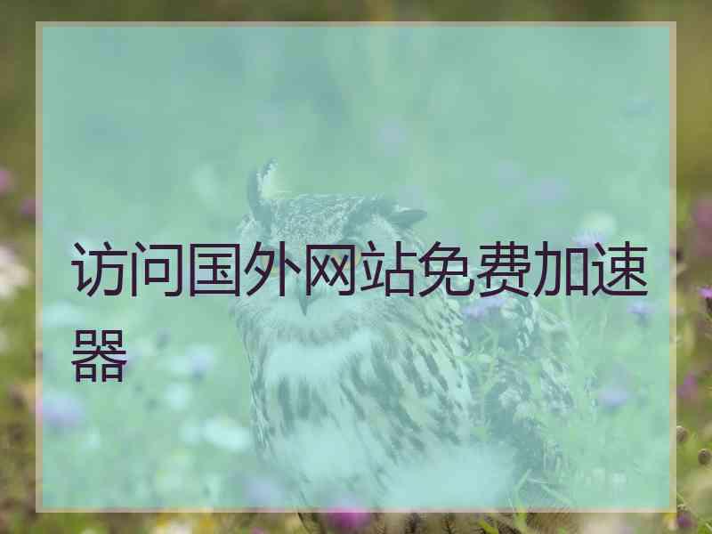 访问国外网站免费加速器