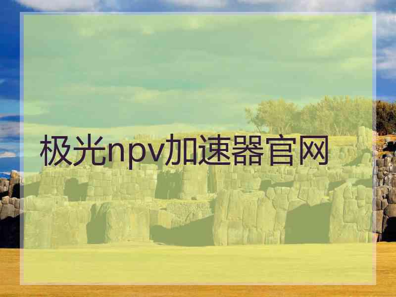 极光npv加速器官网