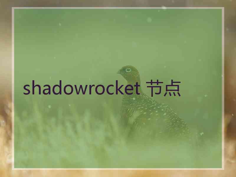 shadowrocket 节点