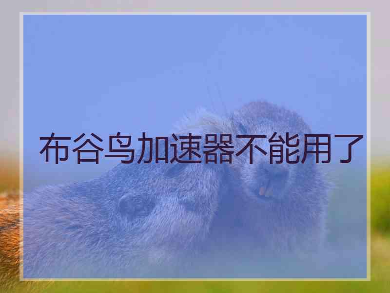 布谷鸟加速器不能用了