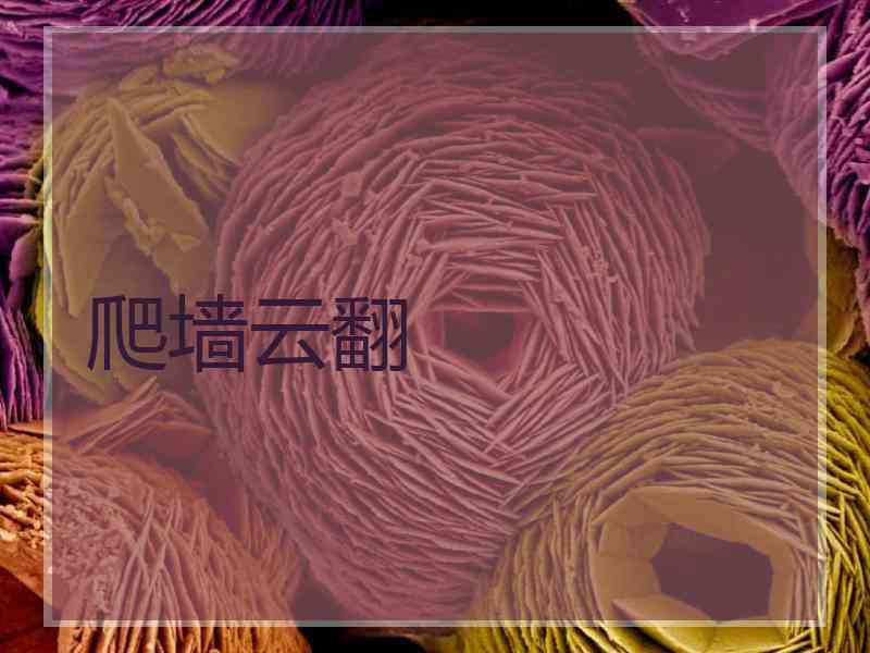 爬墙云翻