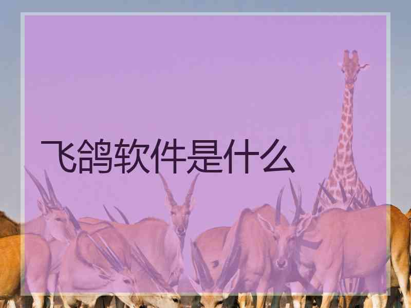 飞鸽软件是什么