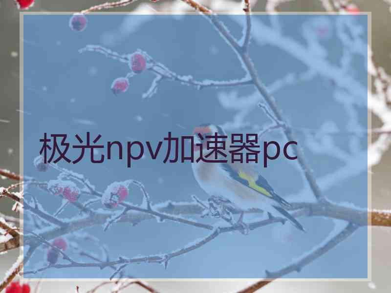 极光npv加速器pc