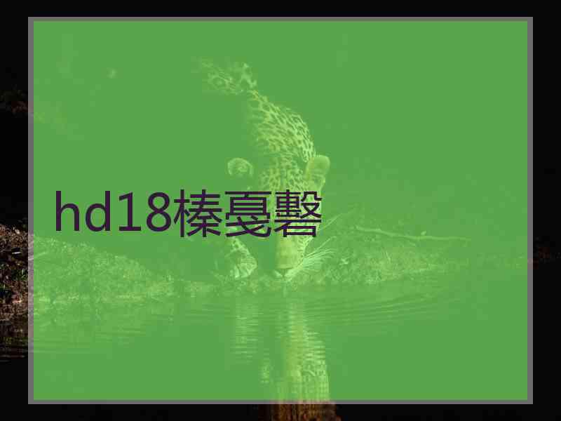 hd18榛戞礊