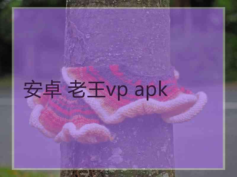 安卓 老王vp apk