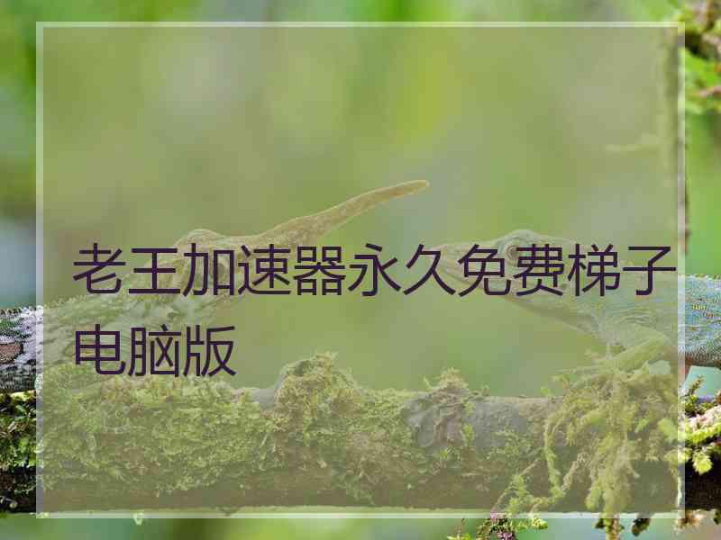 老王加速器永久免费梯子电脑版
