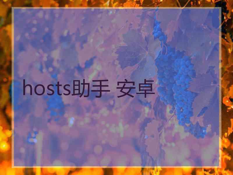 hosts助手 安卓