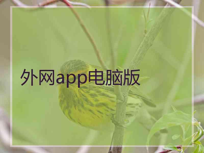 外网app电脑版