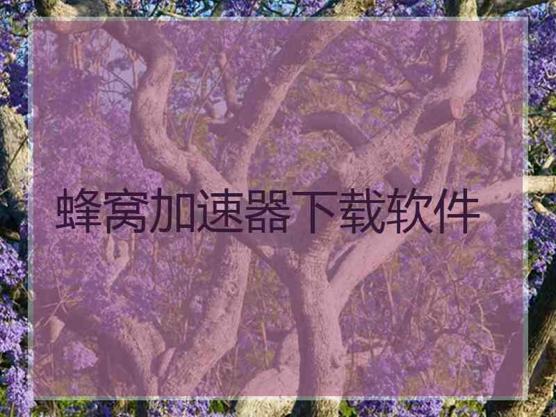 蜂窝加速器下载软件