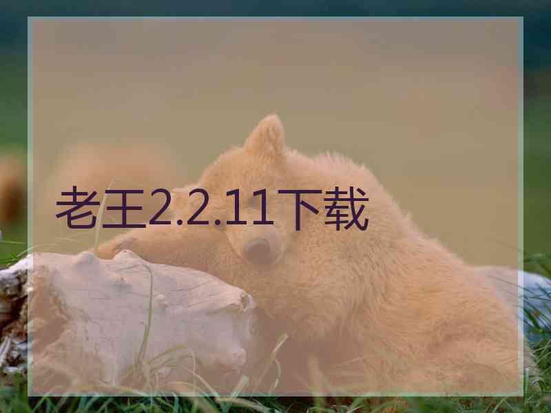 老王2.2.11下载