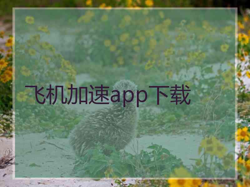 飞机加速app下载