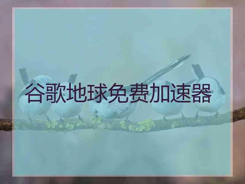 谷歌地球免费加速器