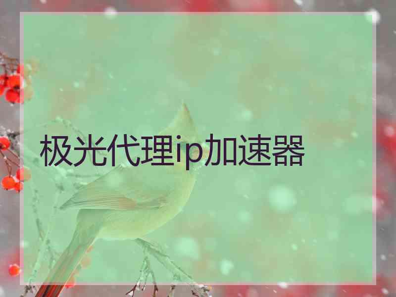 极光代理ip加速器