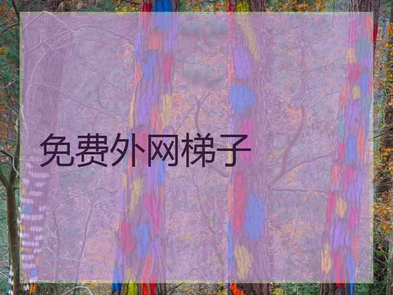 免费外网梯子