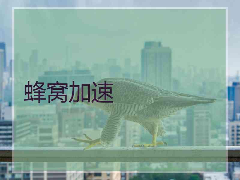 蜂窝加速