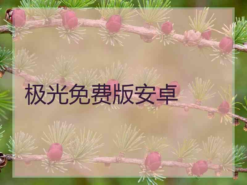 极光免费版安卓
