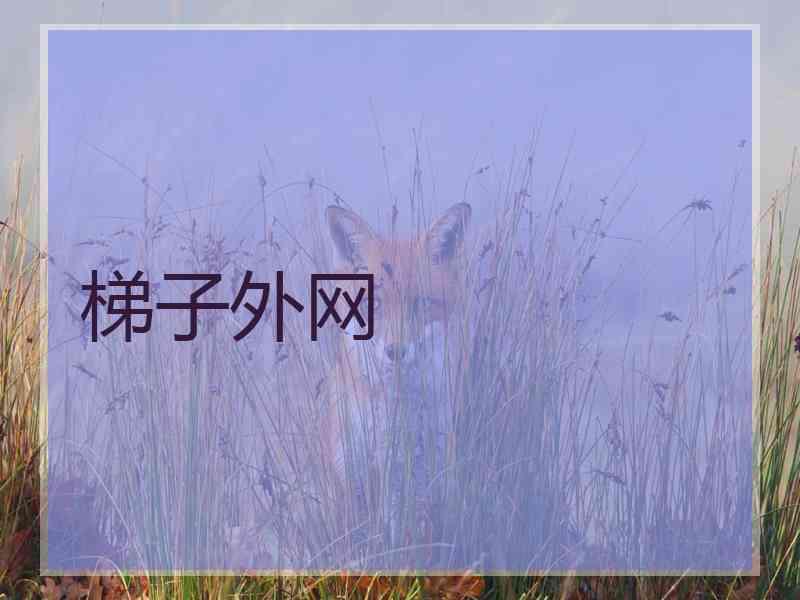 梯子外网