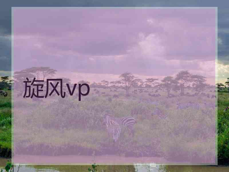 旋风vp