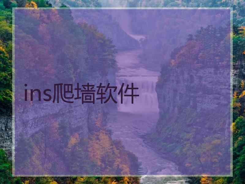 ins爬墙软件