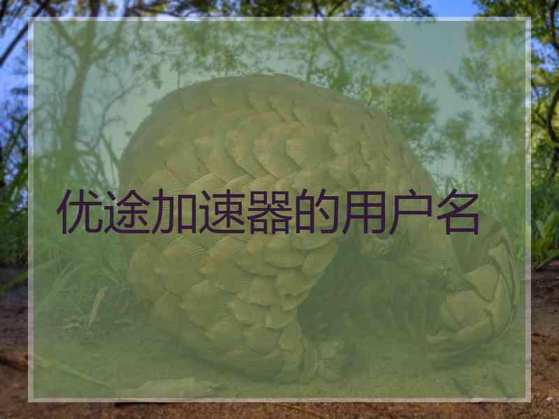 优途加速器的用户名