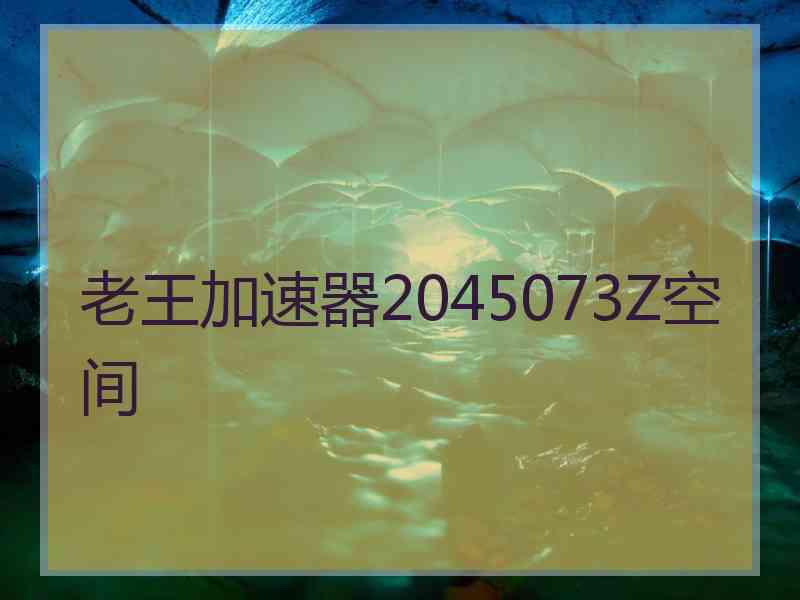 老王加速器2045073Z空间