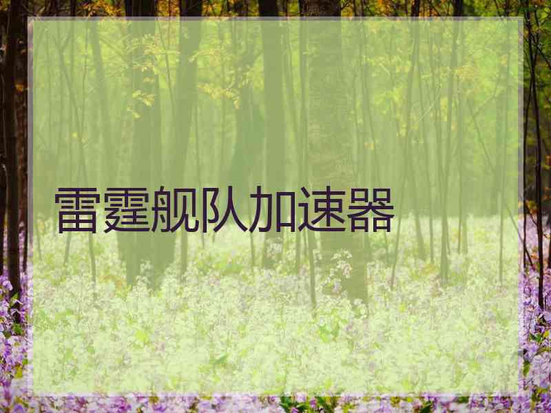 雷霆舰队加速器