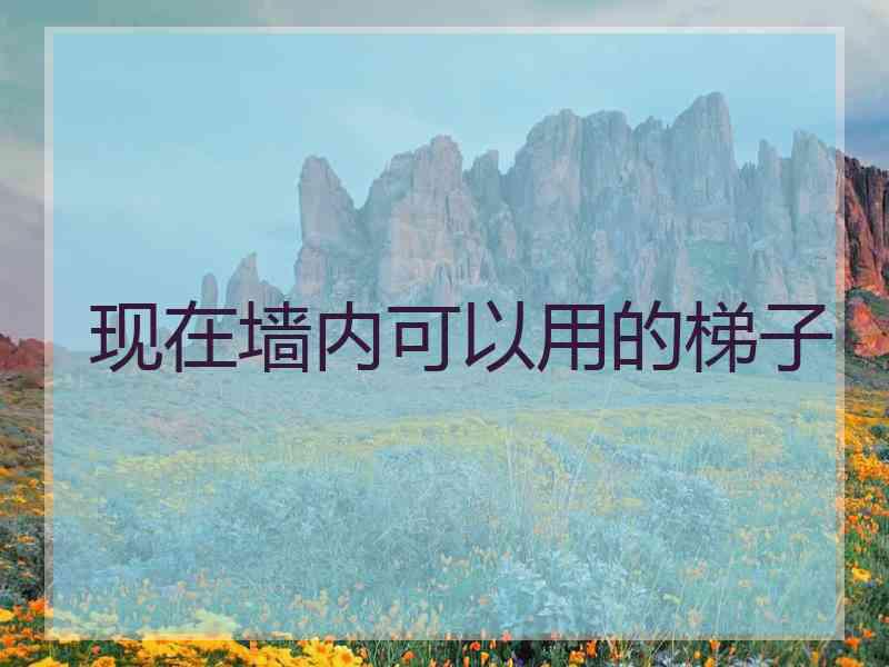 现在墙内可以用的梯子