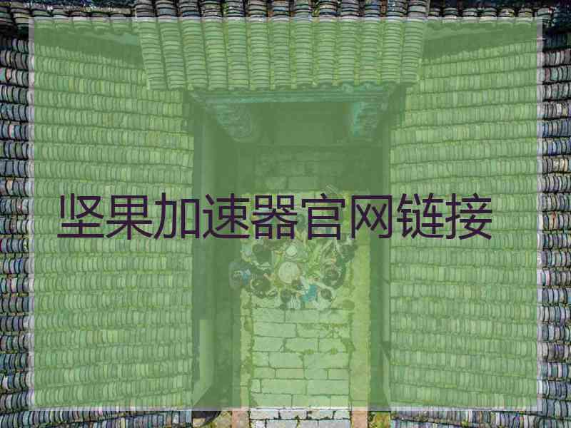 坚果加速器官网链接