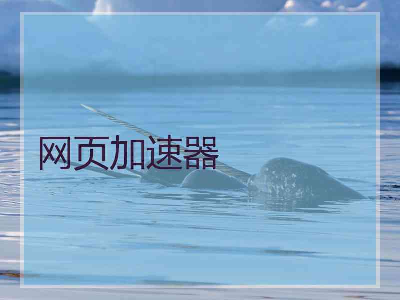 网页加速器