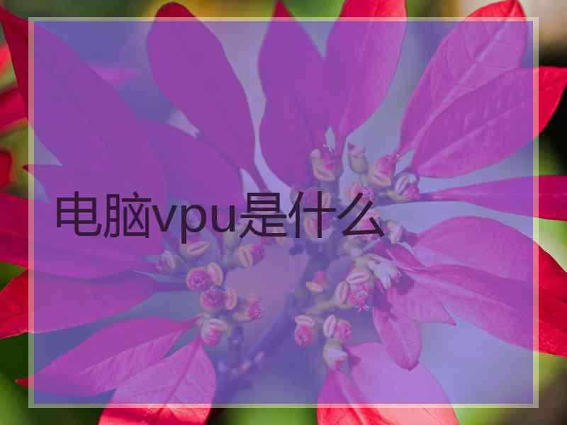 电脑vpu是什么