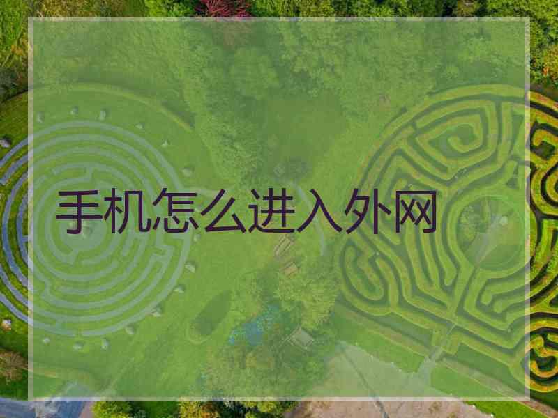 手机怎么进入外网