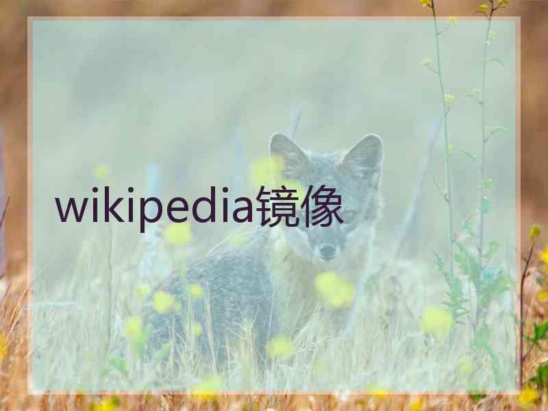 wikipedia镜像